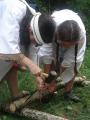 clan saint rieul - JN2007   28